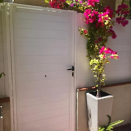 Forget Me Not Boutique Apartment